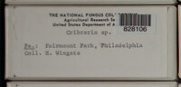 Image Associated With the Occurence